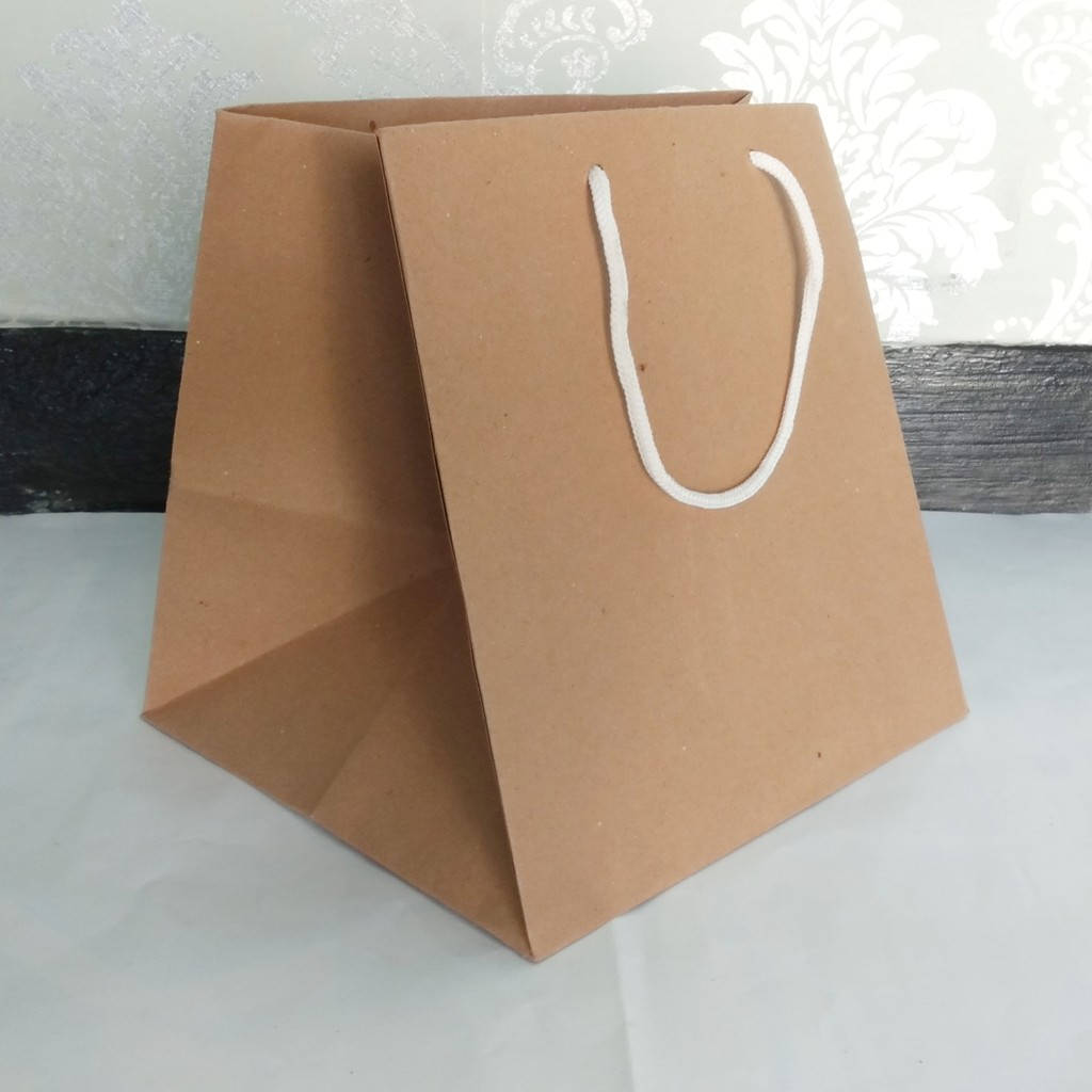 Jual paper bag / Tas Kertas polos untuk kotak nasi 20x20 R10K PxTxL 22