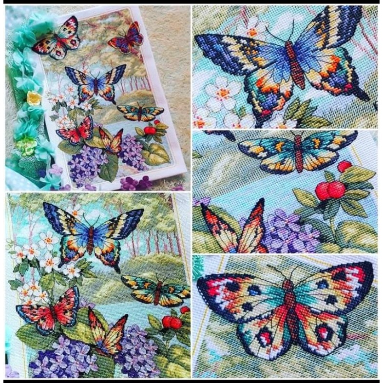 Paket kristik kupu kupu forest butterfly kupu kupu cross stitch dmc 14ct embroidery kerajinan tangan