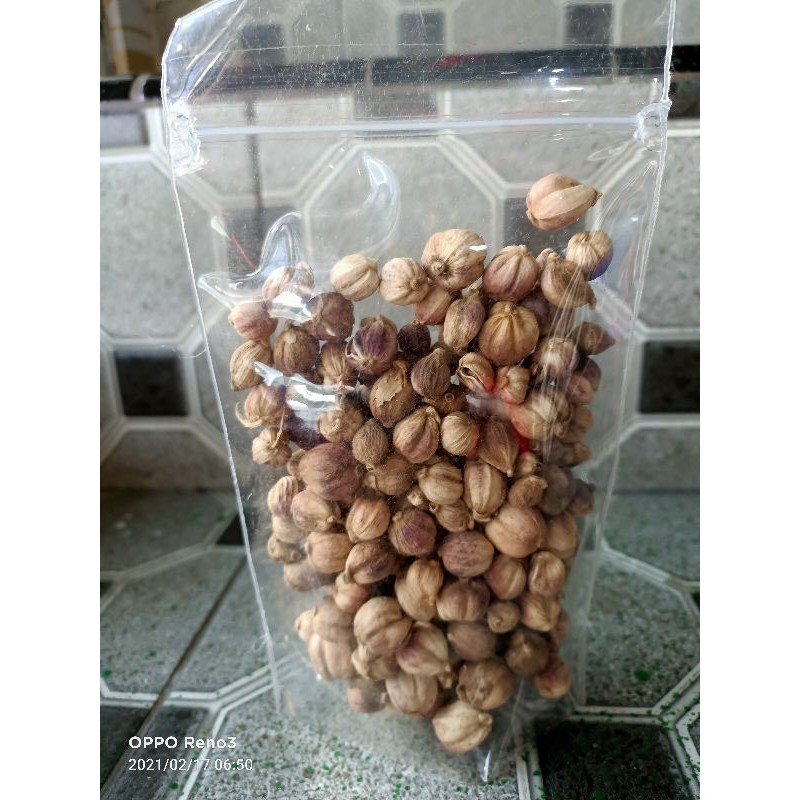 

Kapulaga kering 50 gr Murah