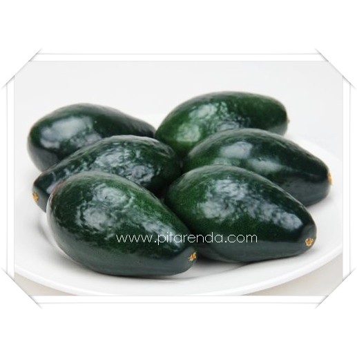 DISKON HARI INI AFBH 14 Pajangan Buah Alpukat Alpukat Palsu per buah