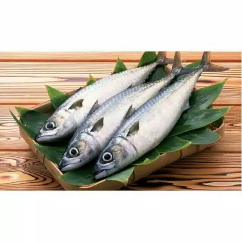 

ikan Salem Segar - 1 Kilogram