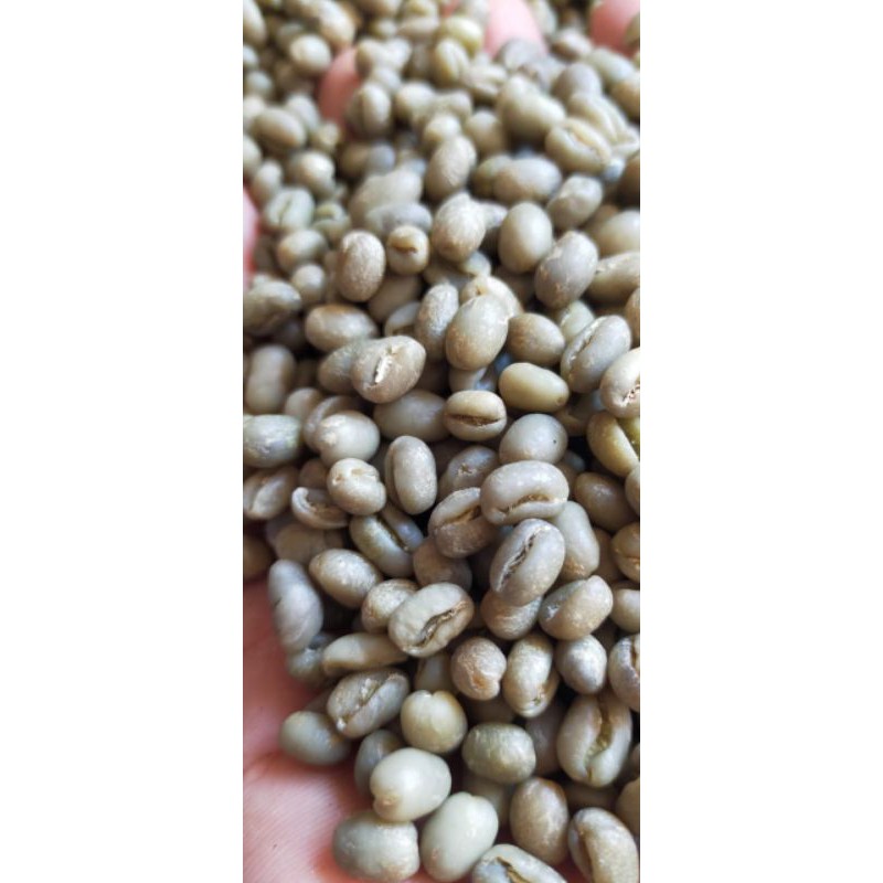 

kopi lanang arabica