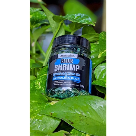 Pakan ikan predator channa udang super blue maxi 50gr