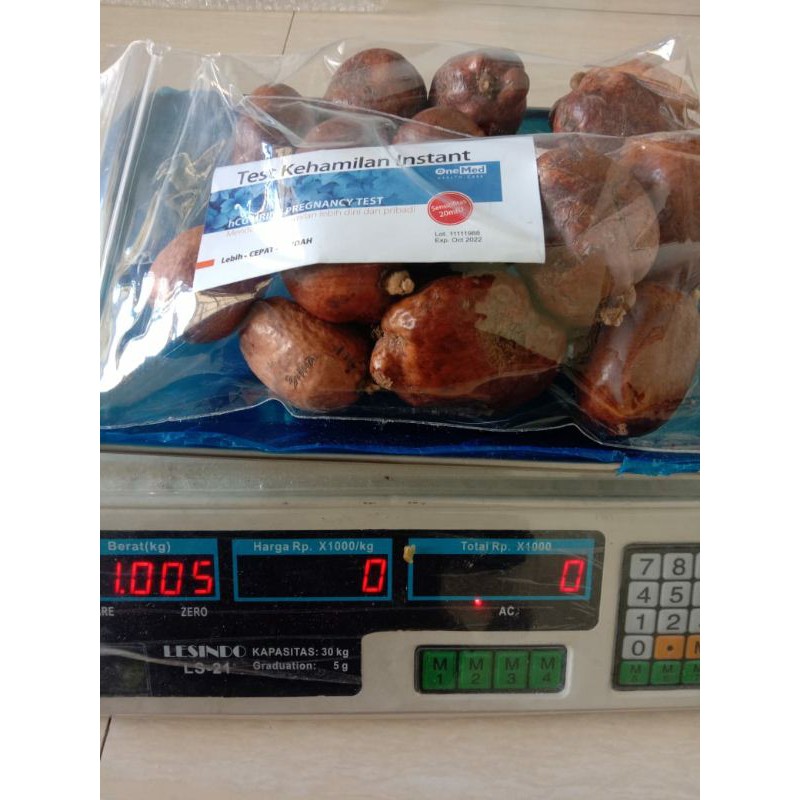 

Buah Zuriat Mesir