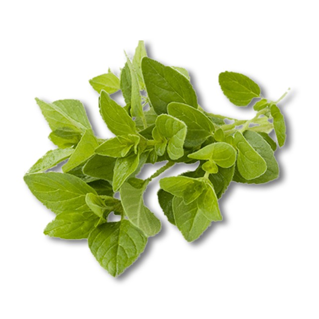 

Oregano @20gr