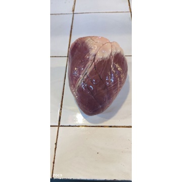 

jantung sapi@500gram