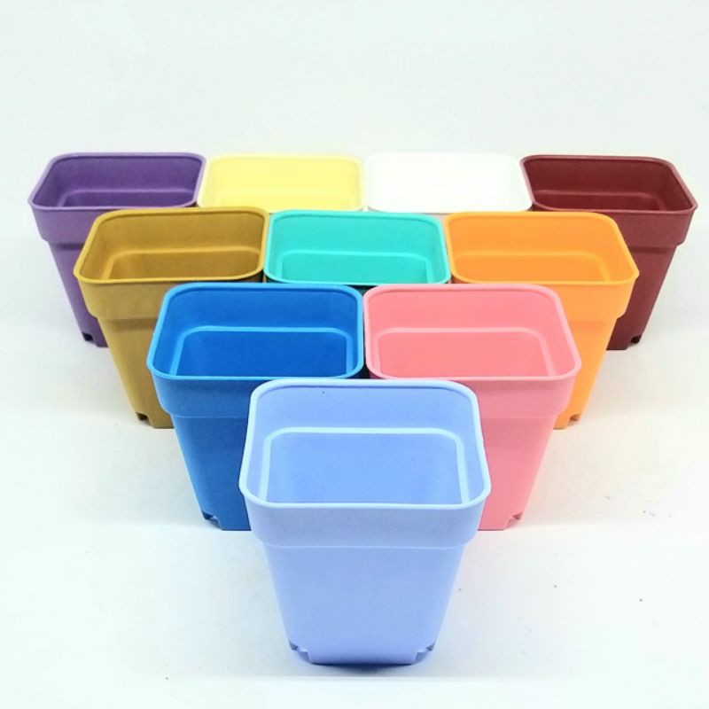 Pot Kaktus Mini Kotak Warna Warni 8cm