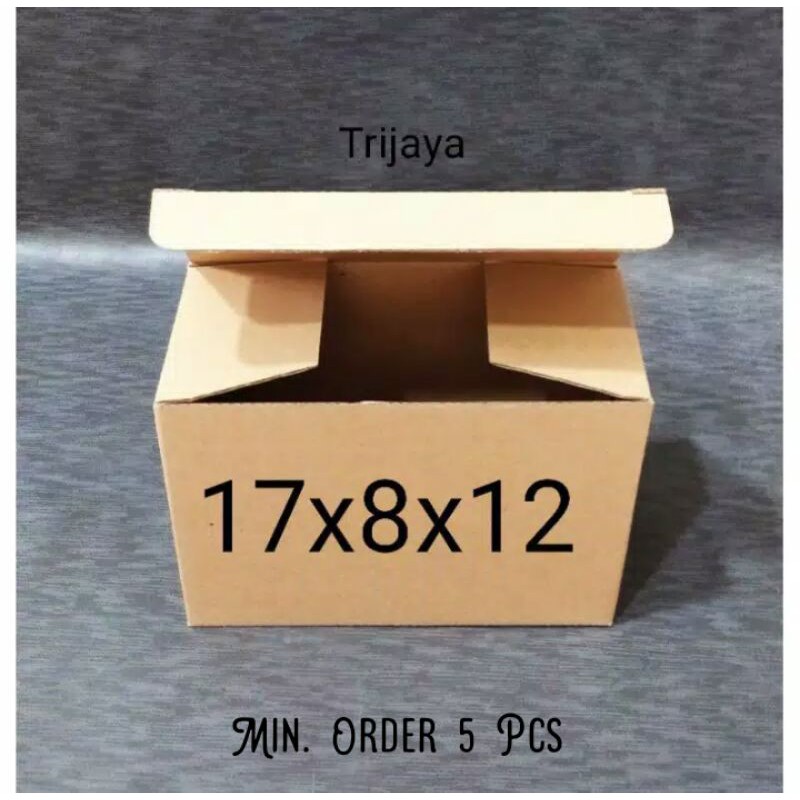 

kardus box pizza / die cut uk 17x8x12