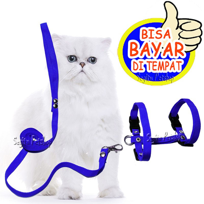 TALI TUNTUN KUCING TALI KUCING HARNESS H UKURAN ALL SIZE TALI MUSANG TALI KELINCI TALI UNTUK KUCING , KELINCI , MUSANG JALAN JALAN BANYAK VARIAN WARNA