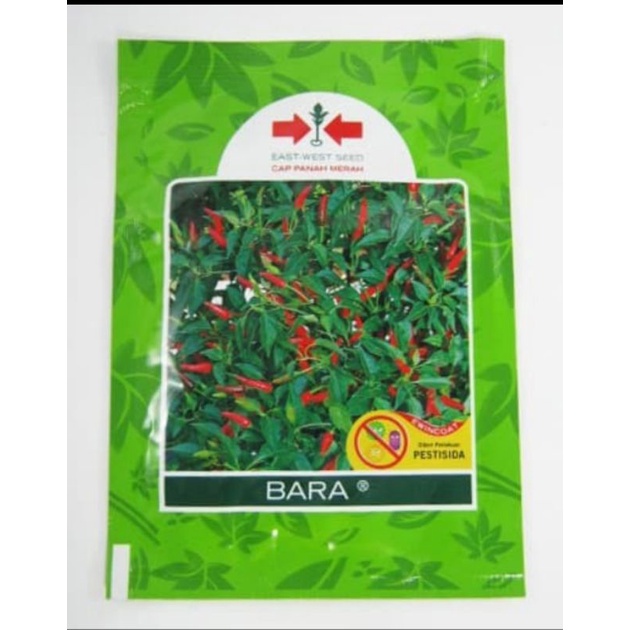 benih cabe bara