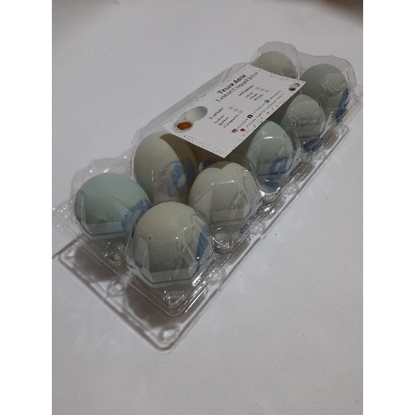 

Telor Asin LUJ isi 10