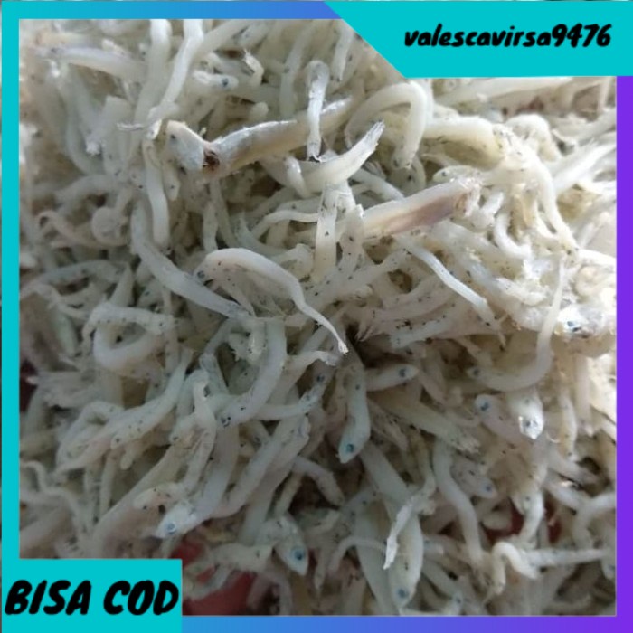 

⭐BISA COD⭐ TERI MEDAN 1KG