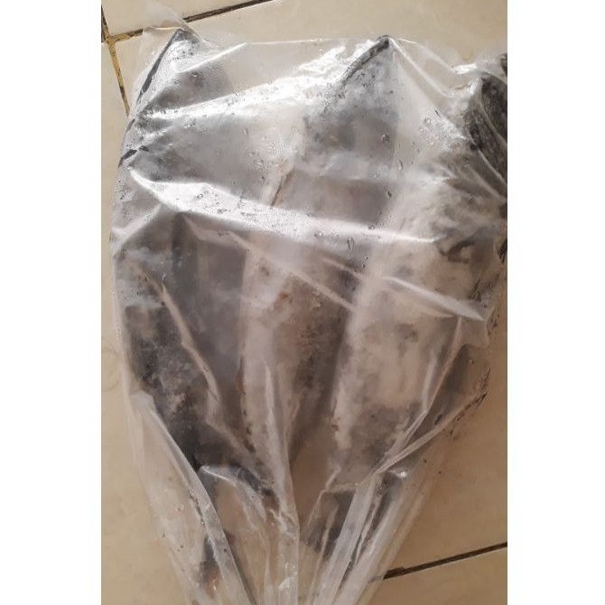 

Ay00! Ikan Cakalang Beku Kapal 1 Kg Kualitas Ekspor