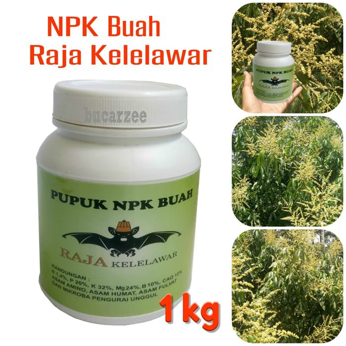 Pupuk NPK Buah Raja Kelelawar