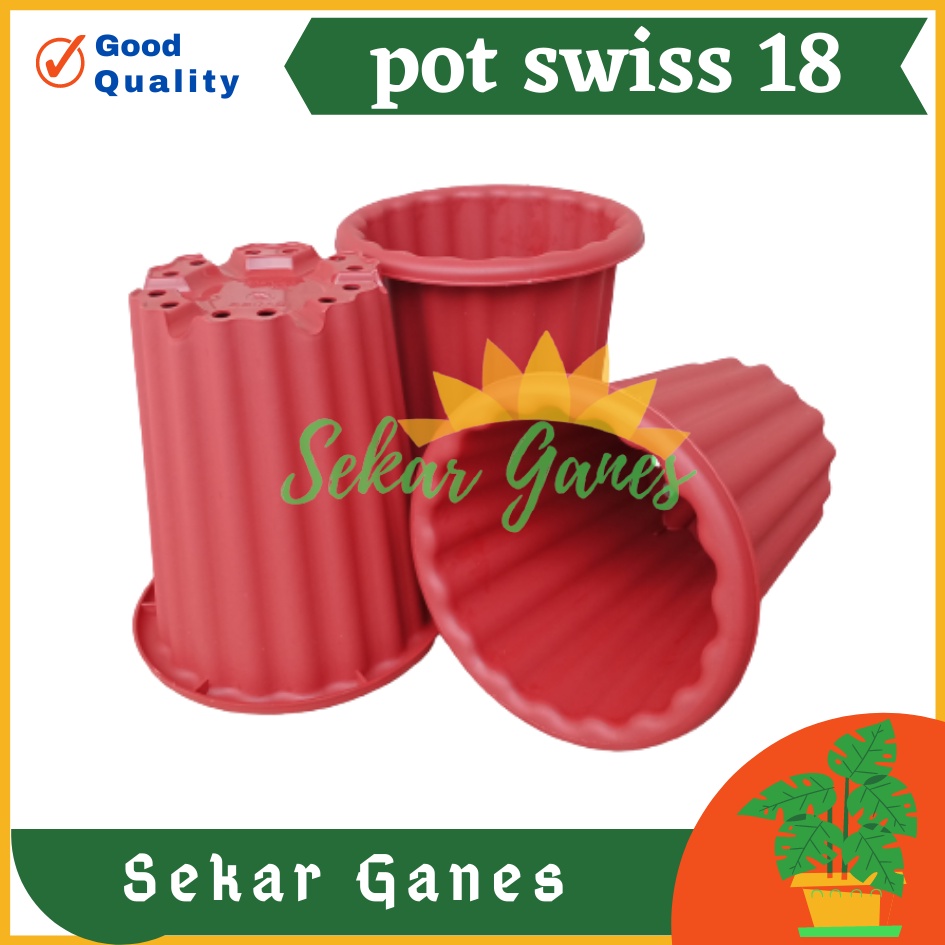 Sekarganes Pot Swiss 18 Merah BataTerracota Terracotta Merah Coklat Pot Yogap 18 Putih Coklat Merah Bata Bening Transparan Pot Yogap 17 18 19 Pot Yogap Murah Pot Bunga Tinggi Pirus Tegak Bagus Tebal