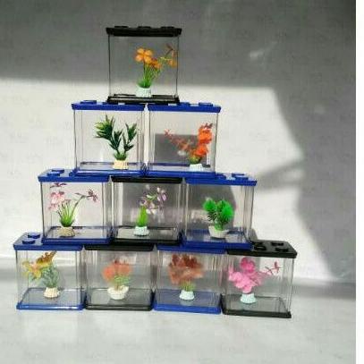 ♙ Aquarium cupang/ aquarium lego/ aquarium mini ➣