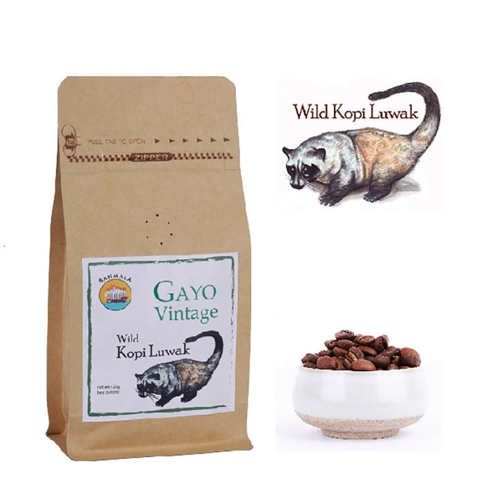 

Fresh roast Kopi Luwak Gayo Vintage 120g Arabika Sangrai - Biji