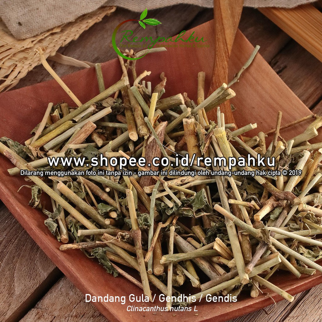 

Rempahku - Daun DANDANG GULA Gendhis 100gr Gendis Gulo Obat Diabetes