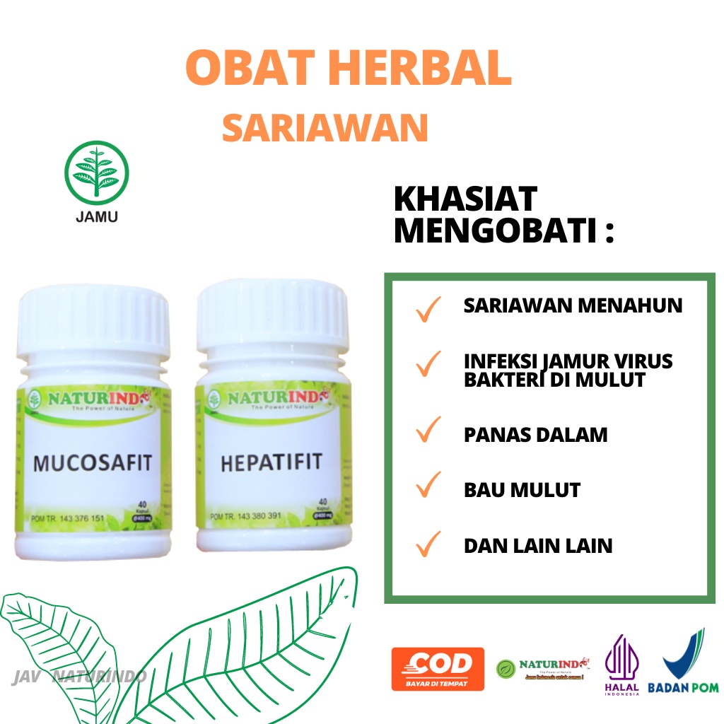 Obat Sariawan Mulut Panas Dalam Sariawan Menahun Infeksi Jamur Di Mulut Herbal Ampuh