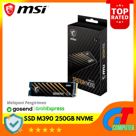 MSI SSD SPATIUM M390 250GB NVME speed 3300/1200 - 5 TAHUN PCIE M.2