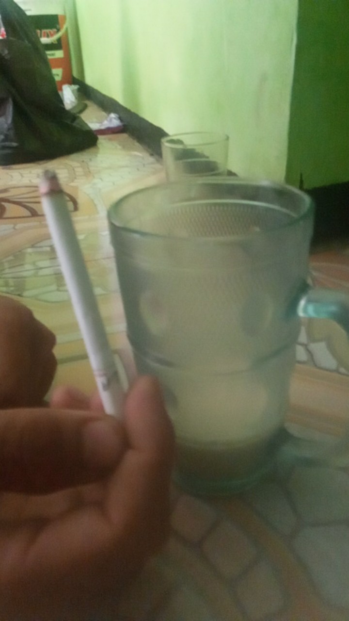 Benih Cabe Keriting Or Twist 42 Cabe Keriting