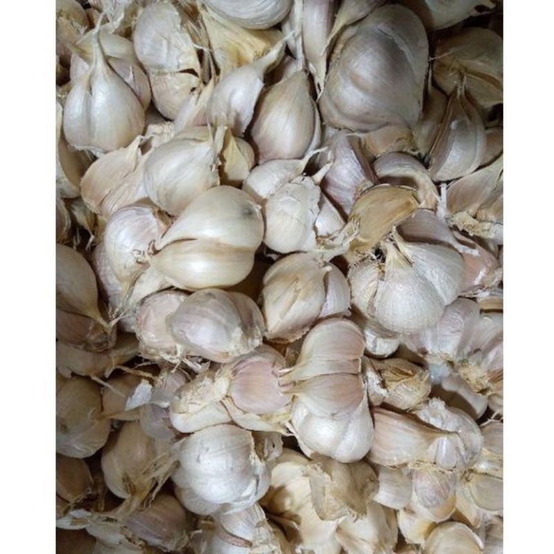 

Bawang kating,bawang putih,bawang bersih (100gr)