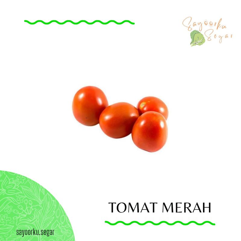 

KIRIM BESOK Tomat Merah / Tomat Hijau / Tomat Buah