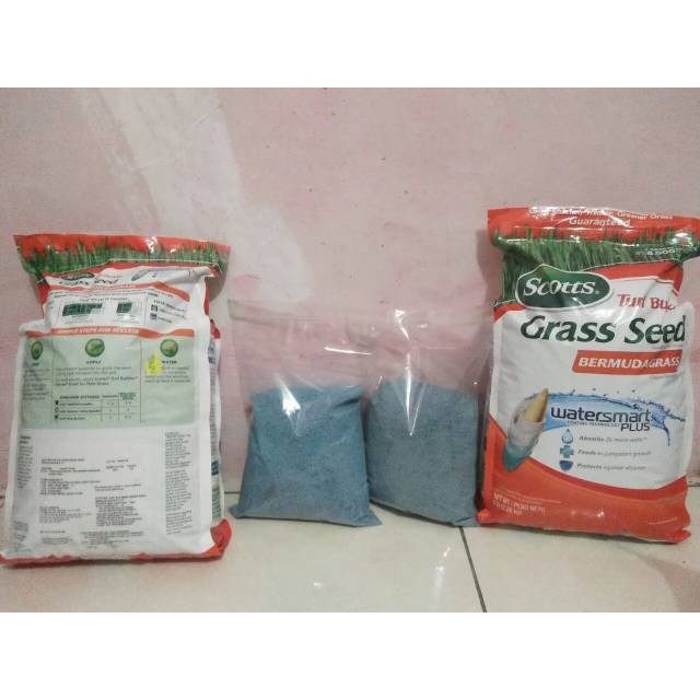 benih biji rumput bermuda 25g - benih bji rumput lapangan sepakbola - lapangan golf