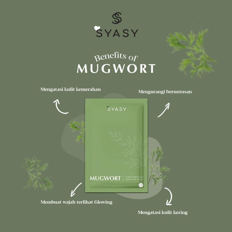 MUGWORT SYASY (DUPE AXIS-Y)