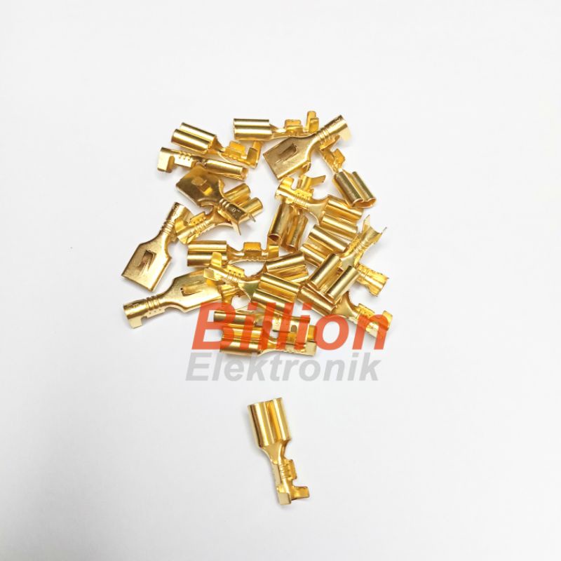 SKUN GEPENG KUNINGAN FEMALE