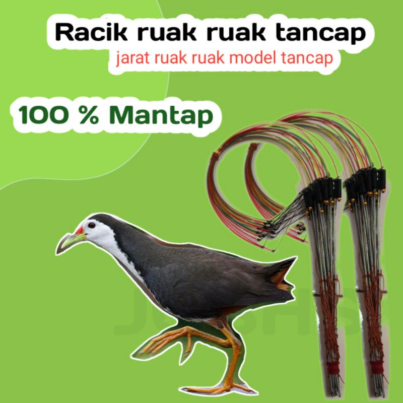 JERAT RUAK RUAK TANCAP RACIK TANCAP