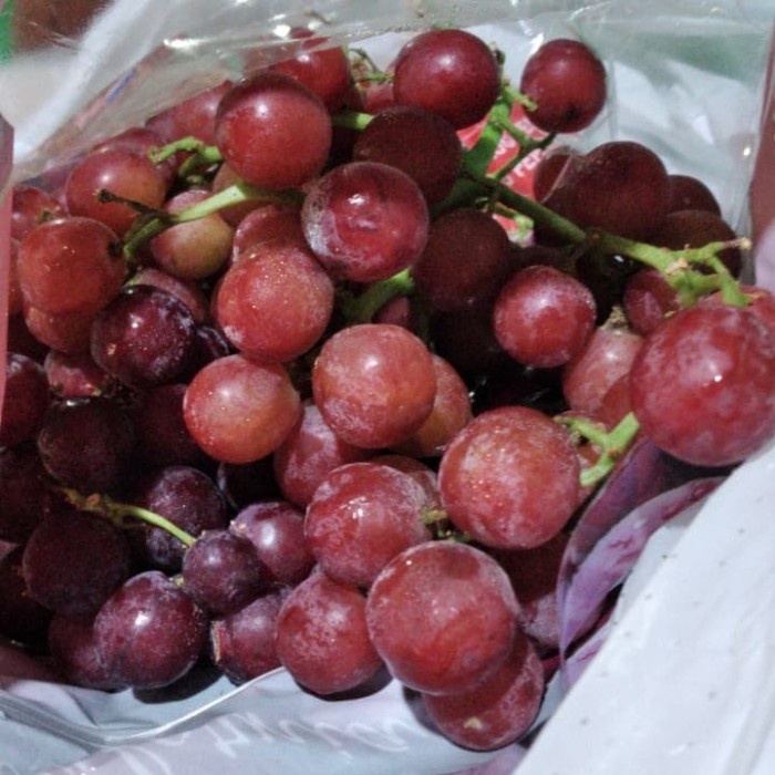 

Anggur Red Seedless California