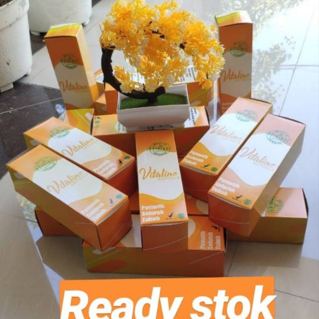 Skincare Vitaline Pemutih No 1 Di Dunia Shopee Indonesia