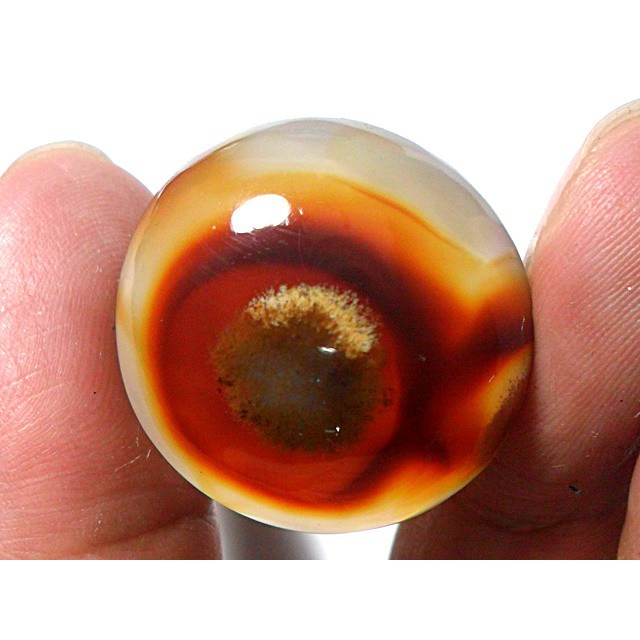 AG096 Round cabochon 46ct 26mm Natural Sagenitic Golden Needle Picture Agate Like Evil Eye