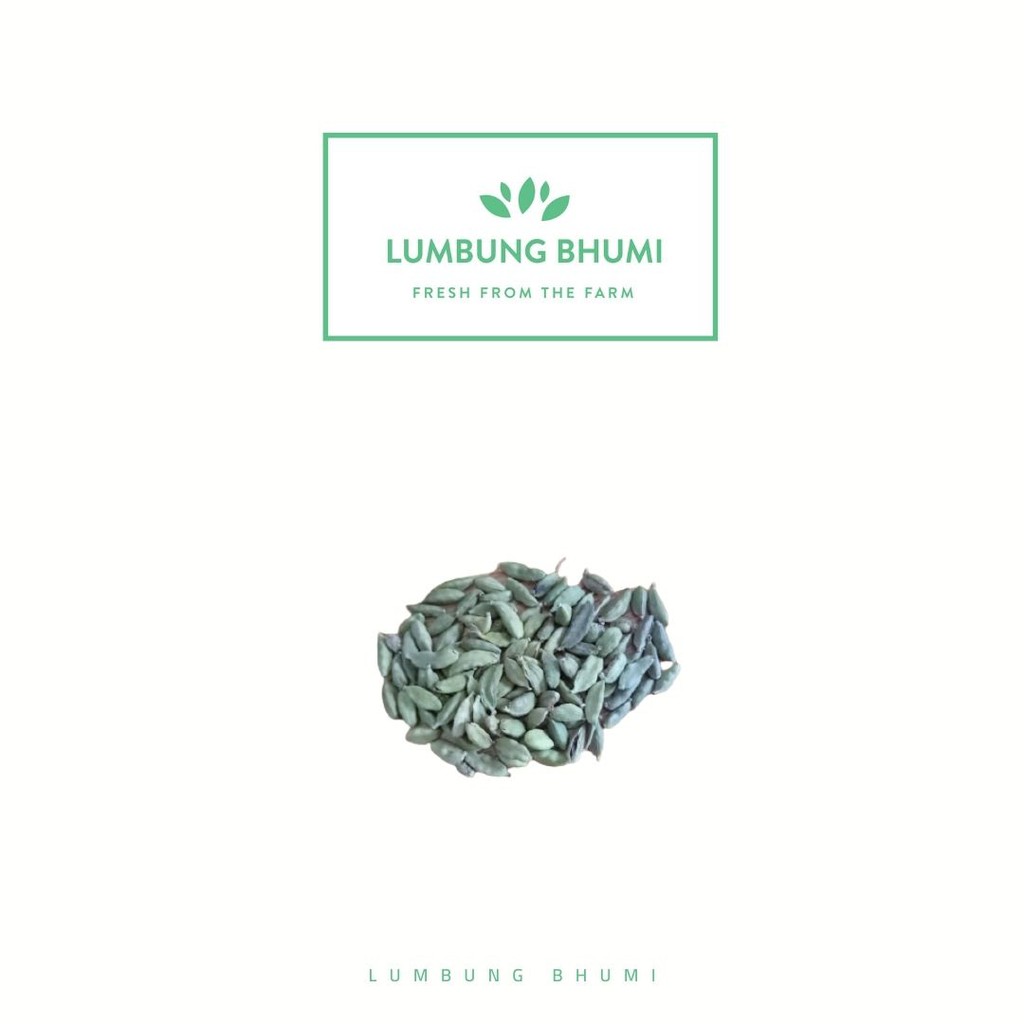 

Lumbung Bhumi - Kapol Kapulaga Hijau India Arab 10 Gr ( Bumbu Dapur )