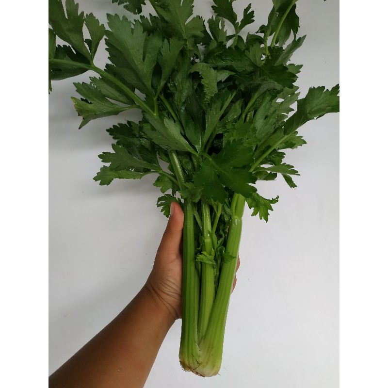 

Celery Stick Papapangan 1kg