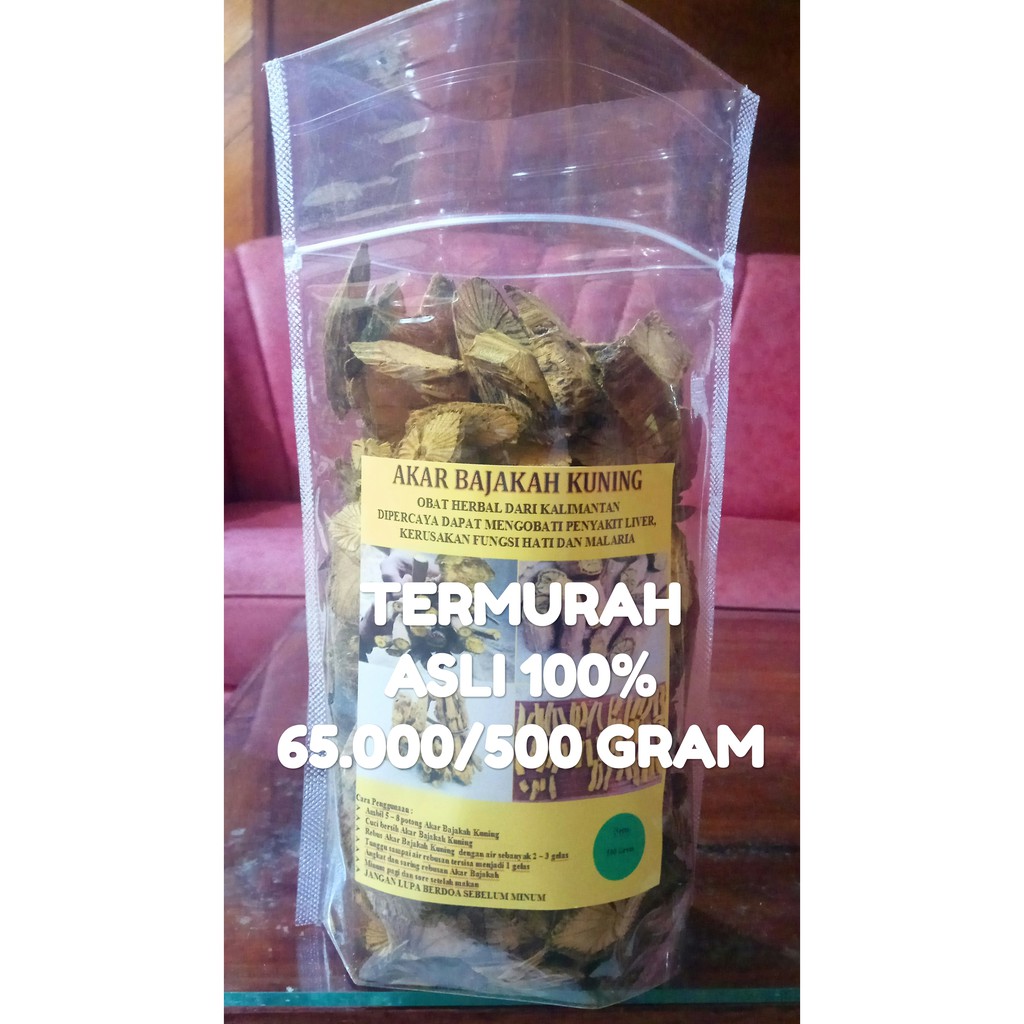 

Akar Bajakah Kuning Asli Kalimantan 500 Gram