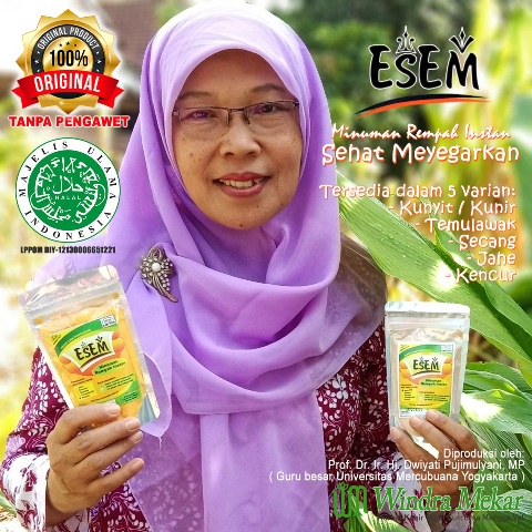 ESEM Minuman Rempah Instan | Temulawak | Jahe | Kunir Putih | Secang | Kunyit Putih | Kencur