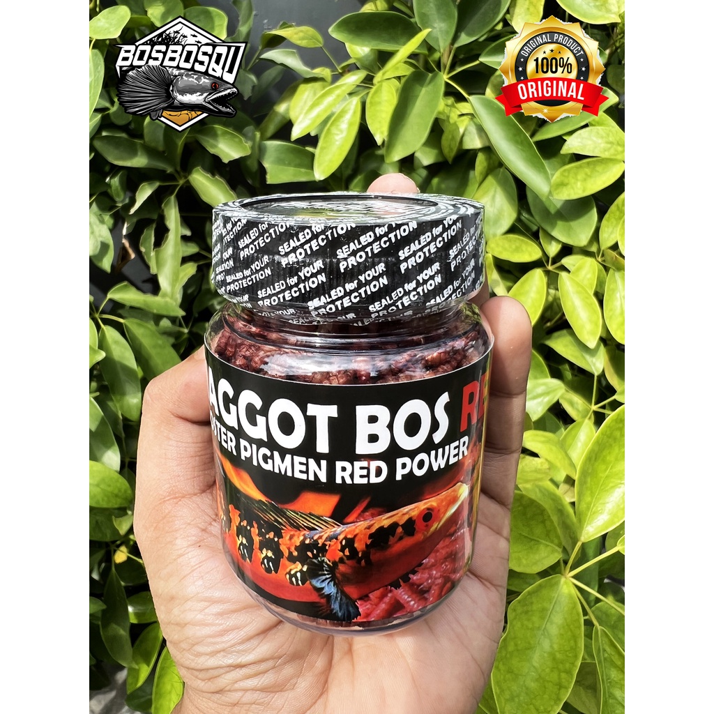 MAGGOT RED (MERAH) @BOS BOS QU GRADE A+ FREE STIKER ( NEW FORMULA) 30 GRAM