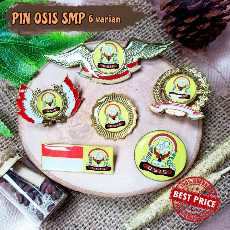 PIN OSIS SMP 6 VARIAN