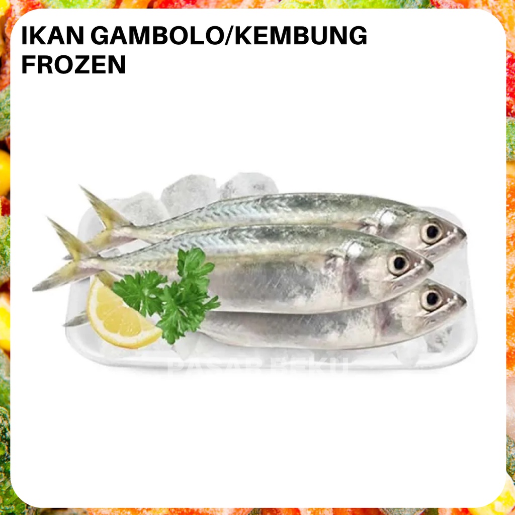 

Ikan Kembung Gambolo Frozen 500gr Fresh Pasar Beku Frozen Food Padang