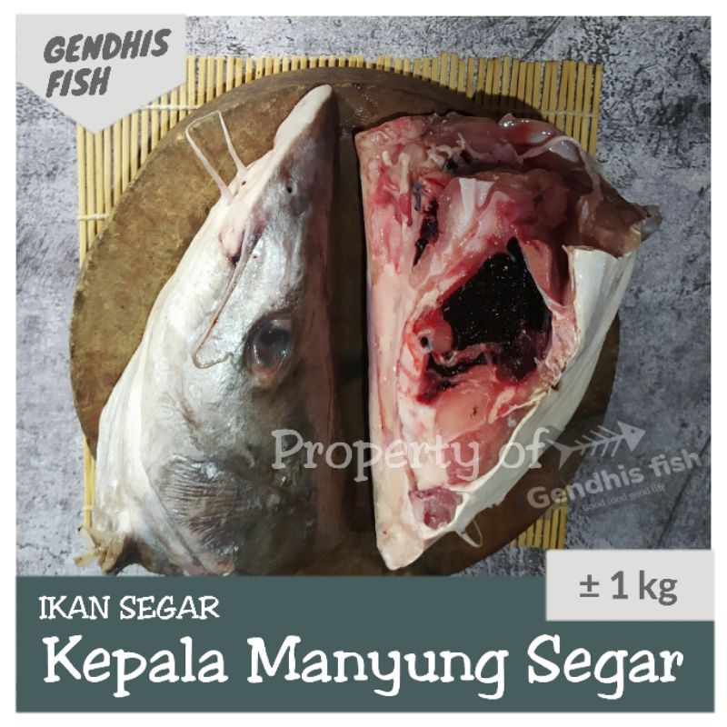 

Kepala manyung segar / Kepala ikan manyung