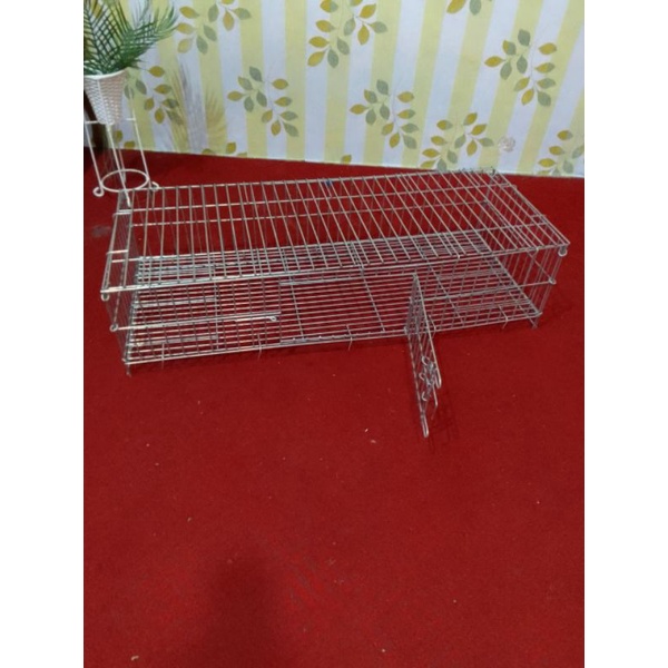 kandang reptil
