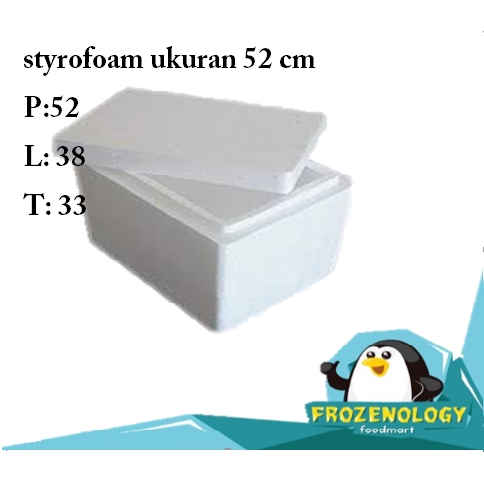 Styrofoam Box