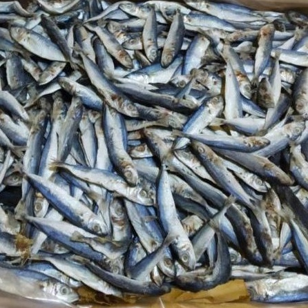 

ikan asin blocok/rincek istimewa