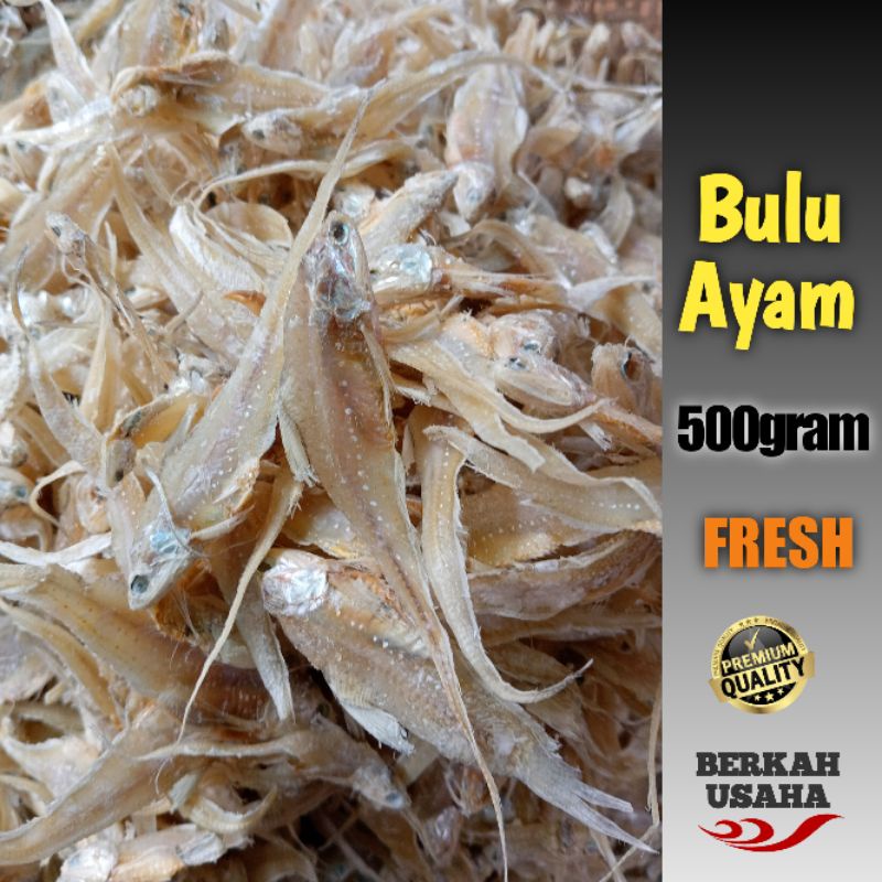 

IKAN ASIN BULU AYAM KERING per 500gram