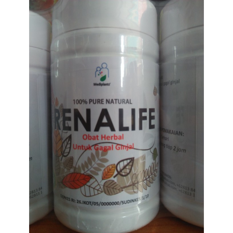 

RENALIFE HERBAL GAGAL GINJAL