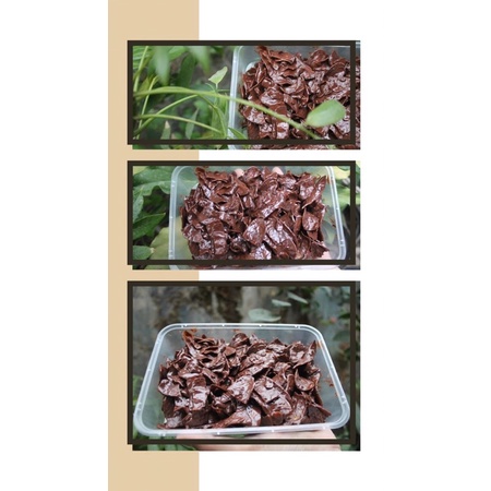 

keripik coklat lumer
