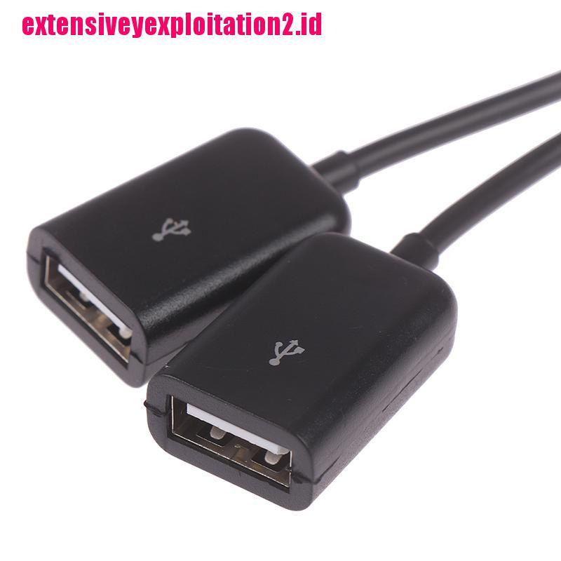 &lt; E2id &amp; &gt; Adaptor splitter Kabel Data / Charger Micro usb / type c Ke 2 otg female