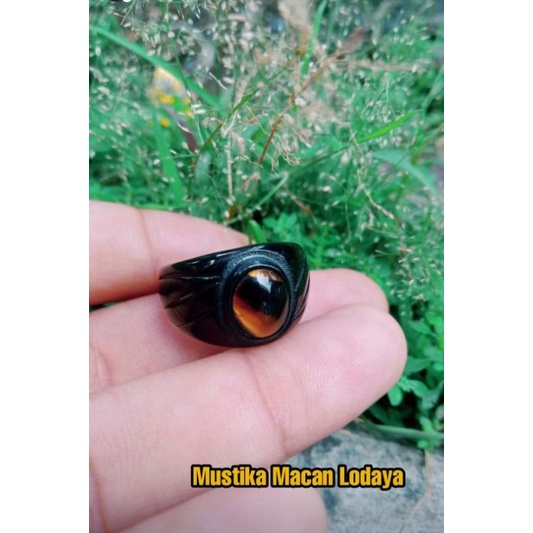 Mustika Macan Lodaya